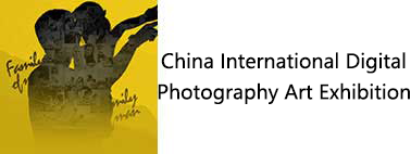 China International Digital Exhibition